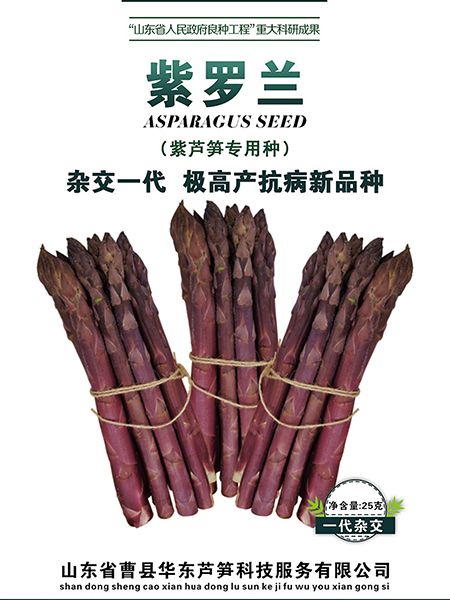 蘆筍生長(zhǎng)周期多久？